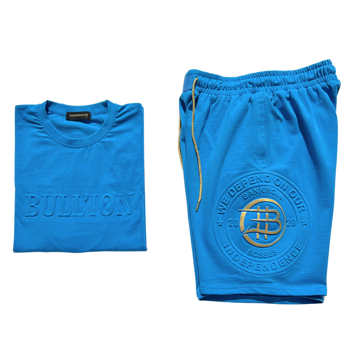 THE ONE SHORTS IN BLEU